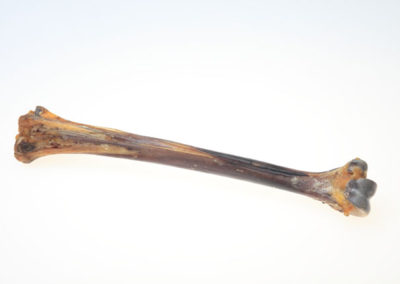 Medium bone