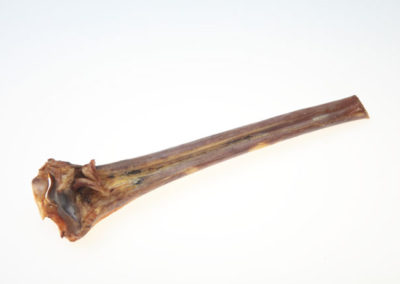 Shin shaft